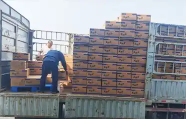 كم عدد نقاط التفتيش التي يجب أن تمر بها فطيرة المعكرونة Mala Tang (وعاء ساخن حار) قبل تحميلها على شاحنة في شنيانغ؟
